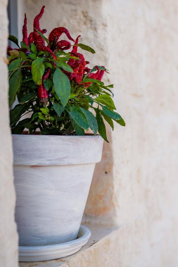 Trullitria Rooms Alberobello Zewnętrze zdjęcie